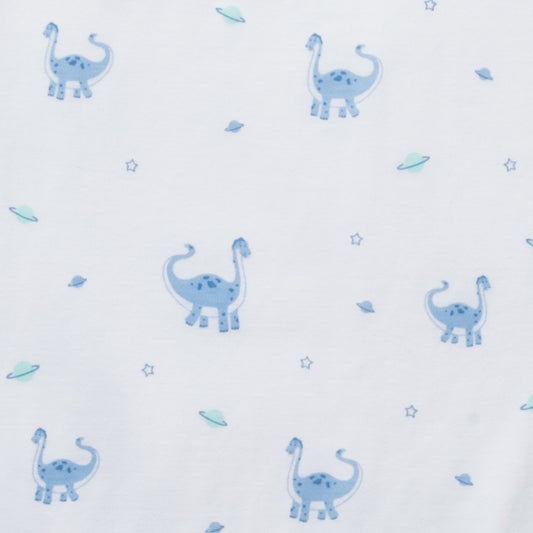 Blue Dinos Galaxy Baby Blanket